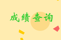 中級(jí)成績查詢2020時(shí)間已經(jīng)公布 快去查分！