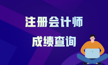 2020年河南鄭州注冊(cè)會(huì)計(jì)師的成績(jī)查詢時(shí)間公布了嗎？