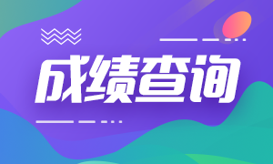 中級會計(jì)成績查詢?nèi)肟诠倬W(wǎng)2020