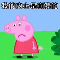 注會成績出來了！炸炸炸鍋了?。?！