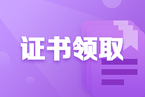 海南三亞市2020中級會計證書領(lǐng)取時間是？