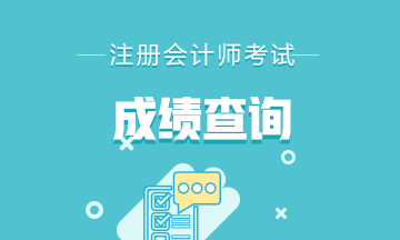 廣西2020年注冊(cè)會(huì)計(jì)師成績(jī)查詢相關(guān)信息可得了解！