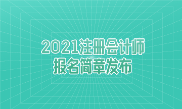 重大消息：2021年注冊會計(jì)師報名簡章發(fā)布