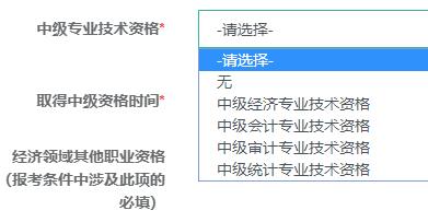 中級專業(yè)技術(shù)資格