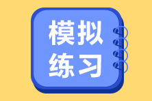 高級經(jīng)濟師模擬練習(xí)