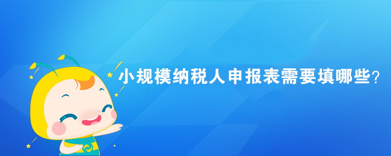 小規(guī)模納稅人申報表需要填哪些？