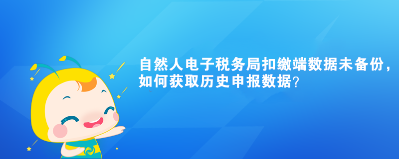 自然人電子稅務局扣繳端數(shù)據(jù)未備份，如何獲取歷史申報數(shù)據(jù)？