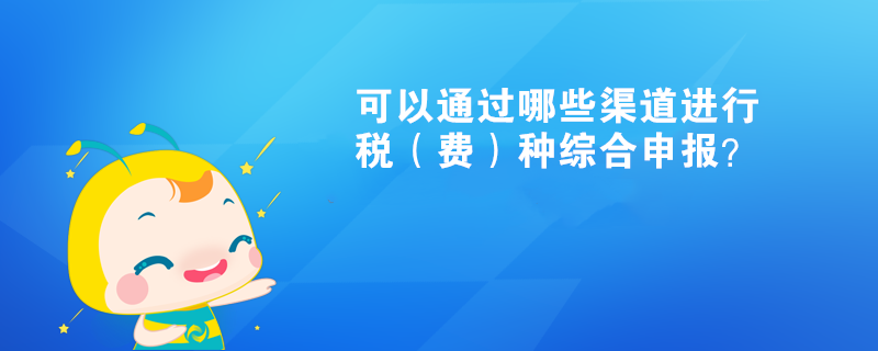 可以通過(guò)哪些渠道進(jìn)行稅（費(fèi)）種綜合申報(bào)？