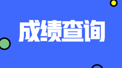 上海2021CPA查分入口開通時間已公布！