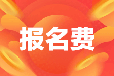 管理會(huì)計(jì)師中級(jí)考試需多少錢