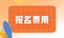 海南省2022年初級會計報名費是多少錢？