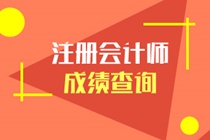 2021年注冊(cè)會(huì)計(jì)師成績(jī)查詢?nèi)肟谝验_通 馬上查成績(jī)了