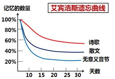 “注會(huì)知識(shí)點(diǎn)學(xué)完就忘怎么辦？如何能提高記憶力？