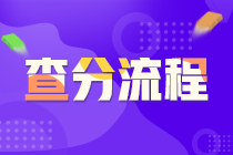 證券從業(yè)資格考試查分流程？