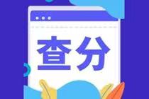 貴州初級(jí)會(huì)計(jì)考試成績(jī)查詢時(shí)間你知道嗎？