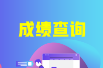 安徽省2022年初級(jí)會(huì)計(jì)考試成績(jī)啥時(shí)候可以查啊？