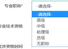 專業(yè)職稱