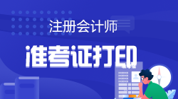 2022年什么時候打印cpa準(zhǔn)考證？