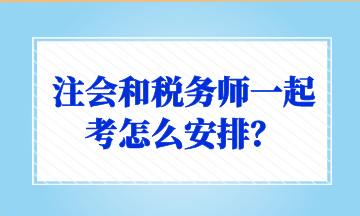 注會和稅務師一起考怎么安排？