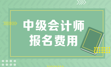 關(guān)注！中級(jí)會(huì)計(jì)職稱考試報(bào)名費(fèi)用多少？