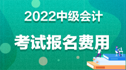 中級會計職稱報名費多少錢上海？