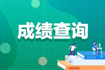 2022年中級(jí)會(huì)計(jì)考試成績(jī)什么時(shí)候可以查詢？