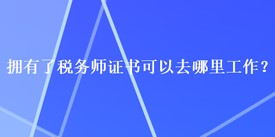 擁有了稅務師證書可以去哪里工作？