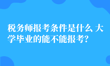 稅務(wù)師報考條件是什么 大學畢業(yè)的能不能報考？