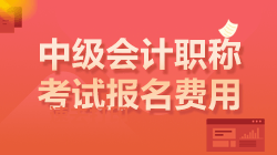 中級會計報名費(fèi)用