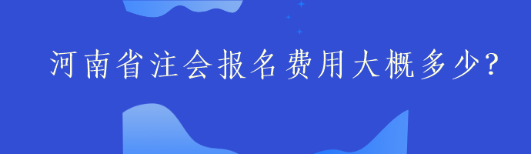 河南省注會報名費用大概多少？