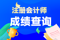 云南省注會(huì)考試成績(jī)什么時(shí)候可以查詢？