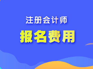 山西cpa考試報名費用是多少？