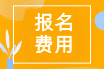 注冊(cè)會(huì)計(jì)師報(bào)名費(fèi)用山東省多少錢？