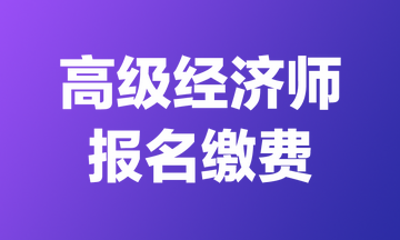 2024年天津高級經(jīng)濟師報名費用&繳費時間