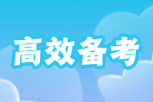 審計師備考秘籍 高效策略助你輕松沖刺！