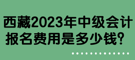 西藏2023年中級會計報名費用是多少錢？