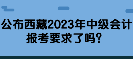 公布西藏2023年中級(jí)會(huì)計(jì)報(bào)考要求了嗎？