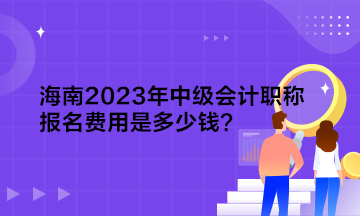 海南2023年中級(jí)會(huì)計(jì)職稱報(bào)名費(fèi)用是多少錢？