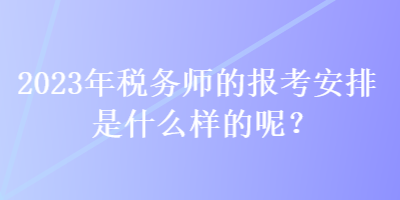 2023年稅務(wù)師的報(bào)考安排是什么樣的呢？