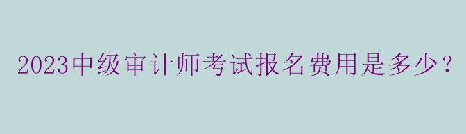 2023中級(jí)審計(jì)師考試報(bào)名費(fèi)用是多少？