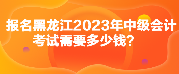 報(bào)名黑龍江2023年中級(jí)會(huì)計(jì)考試需要多少錢(qián)？