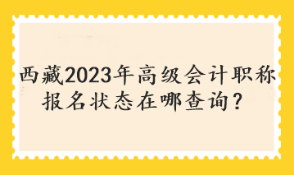 西藏2023年高級(jí)會(huì)計(jì)職稱報(bào)名狀態(tài)在哪查詢？