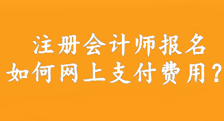 注冊會(huì)計(jì)師報(bào)名如何網(wǎng)上支付費(fèi)用？