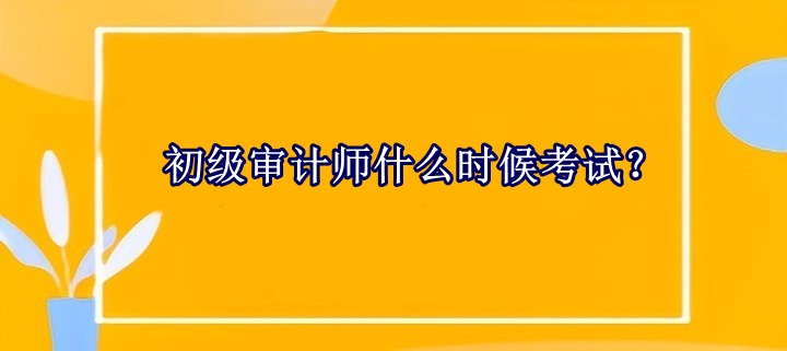 初級(jí)審計(jì)師什么時(shí)候考試？