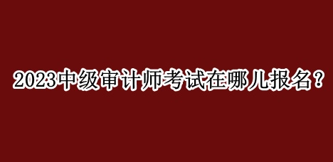 2023中級(jí)審計(jì)師考試在哪兒報(bào)名？