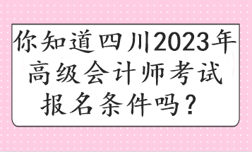 你知道四川2023年高級會計師考試報名條件嗎？