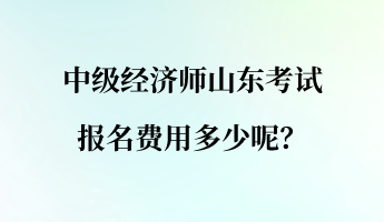 中級經(jīng)濟(jì)師山東考試報(bào)名費(fèi)用多少呢？