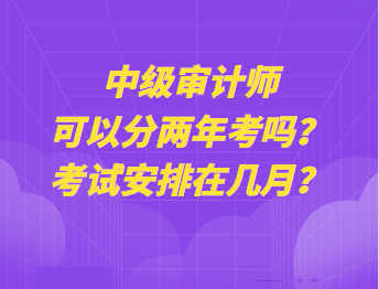 中級(jí)審計(jì)師可以分兩年考嗎？考試安排在幾月？