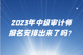 2023年中級(jí)審計(jì)師報(bào)名安排出來(lái)了嗎？