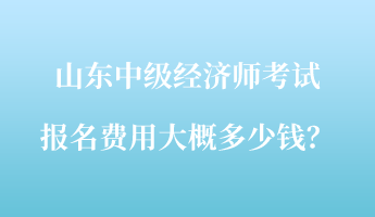 山東中級(jí)經(jīng)濟(jì)師考試報(bào)名費(fèi)用大概多少錢？